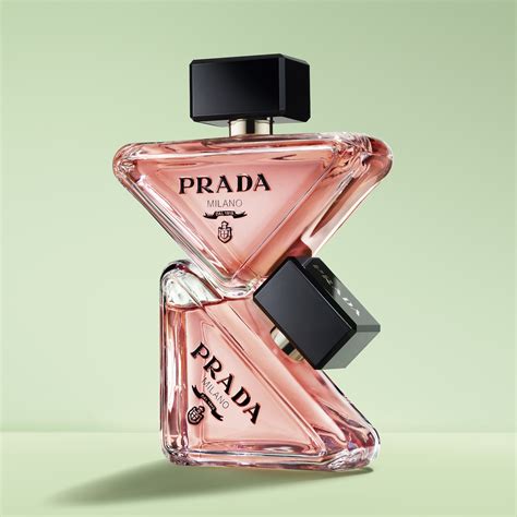 bester preis für prada|Prada paradoxe fragrance.